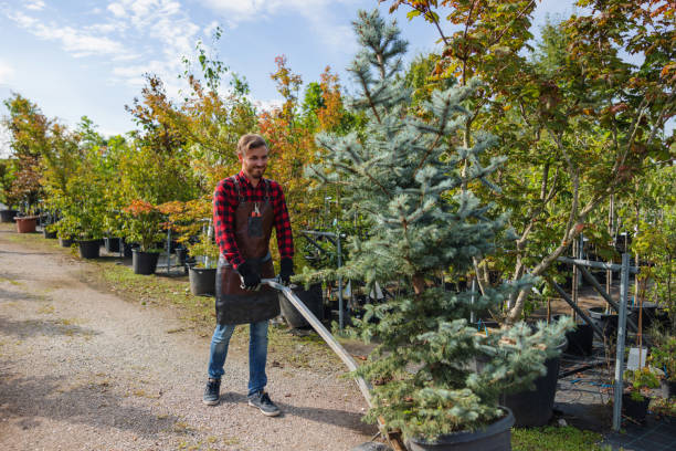 Best Seasonal Cleanup  in Panther Valley, NJ